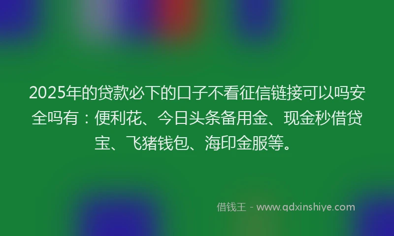 2025年的贷款必下的口子不看征信链接可以吗安全吗有：便利花、今日头条备用金、现金秒借贷宝、飞猪钱包、海印金服等。