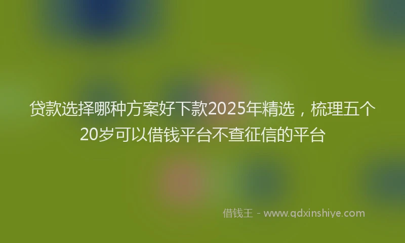 贷款选择哪种方案好下款2025年精选，梳理五个20岁可以借钱平台不查征信的平台