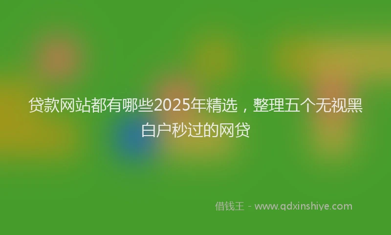 贷款网站都有哪些2025年精选，整理五个无视黑白户秒过的网贷
