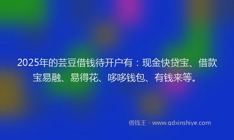 2025年的芸豆借钱待开户有：现金快贷宝、借款宝易融、易得花、哆哆钱包、有钱来等。