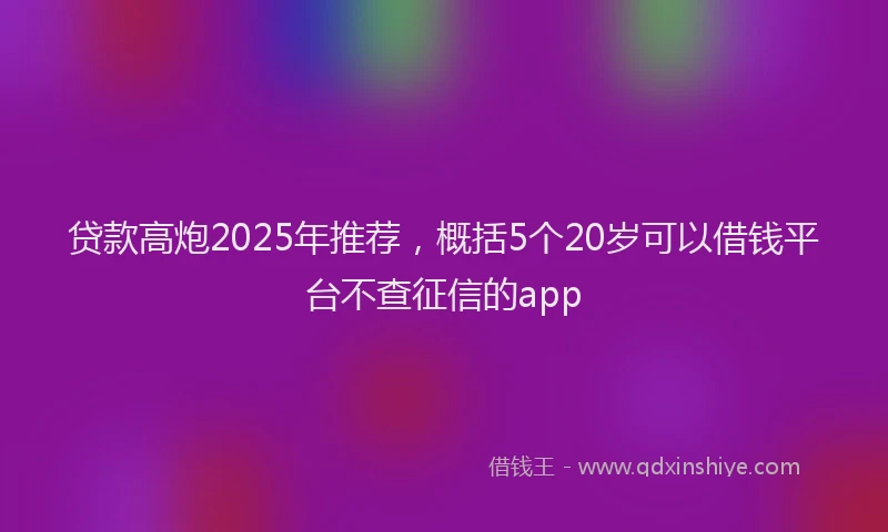 贷款高炮2025年推荐，概括5个20岁可以借钱平台不查征信的app