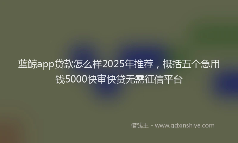蓝鲸app贷款怎么样2025年推荐，概括五个急用钱5000快审快贷无需征信平台