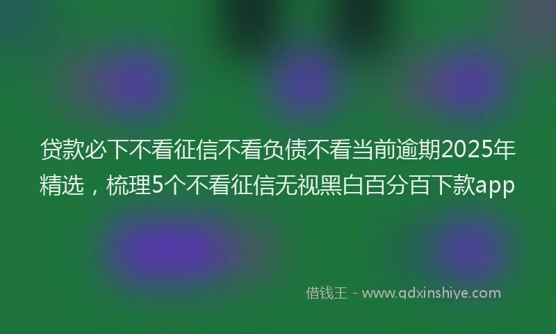 贷款必下不看征信不看负债不看当前逾期2025年精选，梳理5个不看征信无视黑白百分百下款app
