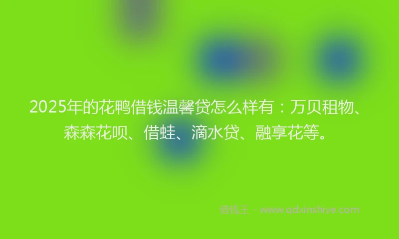 2025年的花鸭借钱温馨贷怎么样有：万贝租物、森森花呗、借蛙、滴水贷、融享花等。