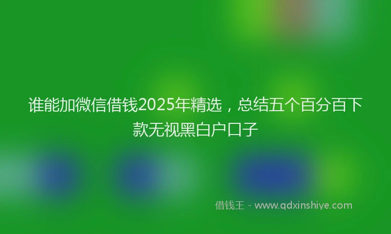 谁能加微信借钱2025年精选，总结五个百分百下款无视黑白户口子
