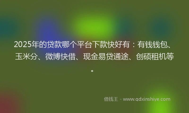 2025年的贷款哪个平台下款快好有：有钱钱包、玉米分、微博快借、现金易贷通途、创硕租机等。
