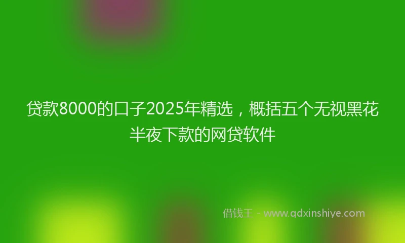贷款8000的口子2025年精选，概括五个无视黑花半夜下款的网贷软件