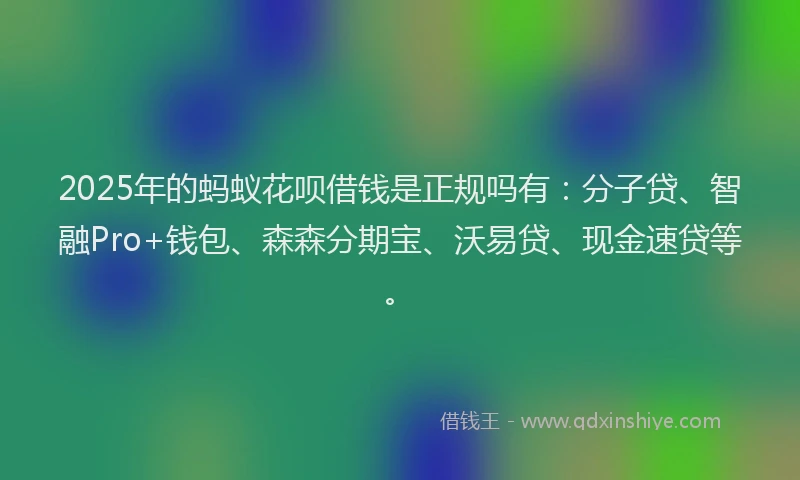 2025年的蚂蚁花呗借钱是正规吗有：分子贷、智融Pro+钱包、森森分期宝、沃易贷、现金速贷等。