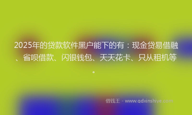 2025年的贷款软件黑户能下的有：现金贷易借融、省呗借款、闪银钱包、天天花卡、只从租机等。