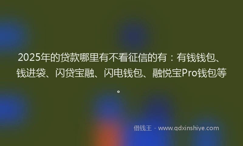 2025年的贷款哪里有不看征信的有：有钱钱包、钱进袋、闪贷宝融、闪电钱包、融悦宝Pro钱包等。