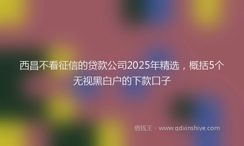 西昌不看征信的贷款公司2025年精选，概括5个无视黑白户的下款口子