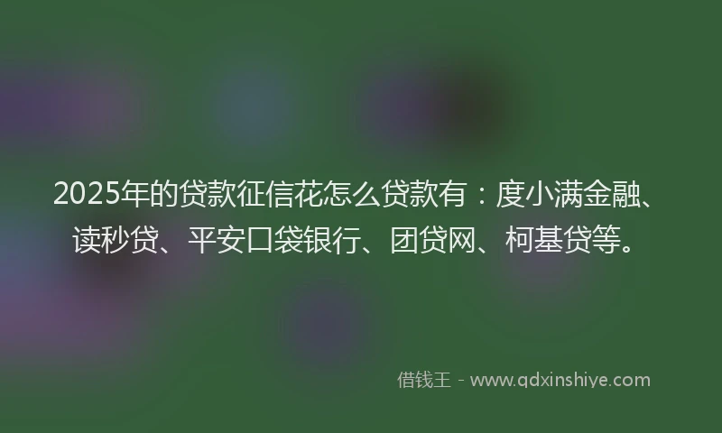 2025年的贷款征信花怎么贷款有：度小满金融、读秒贷、平安口袋银行、团贷网、柯基贷等。