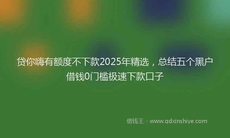 贷你嗨有额度不下款2025年精选，总结五个黑户借钱0门槛极速下款口子
