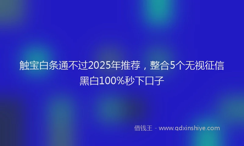 触宝白条通不过2025年推荐，整合5个无视征信黑白100%秒下口子