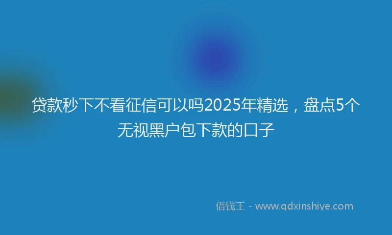 贷款秒下不看征信可以吗2025年精选，盘点5个无视黑户包下款的口子