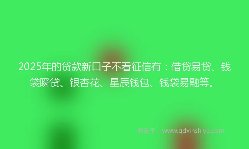 2025年的贷款新口子不看征信有：借贷易贷、钱袋瞬贷、银杏花、星辰钱包、钱袋易融等。