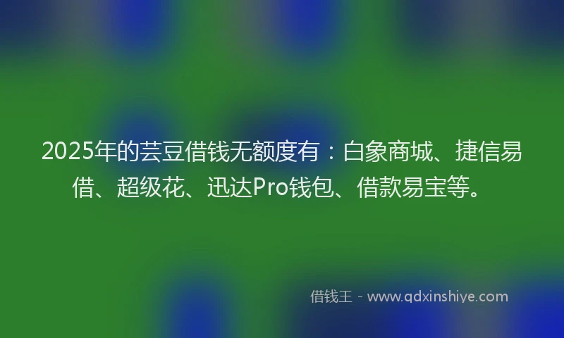2025年的芸豆借钱无额度有：白象商城、捷信易借、超级花、迅达Pro钱包、借款易宝等。