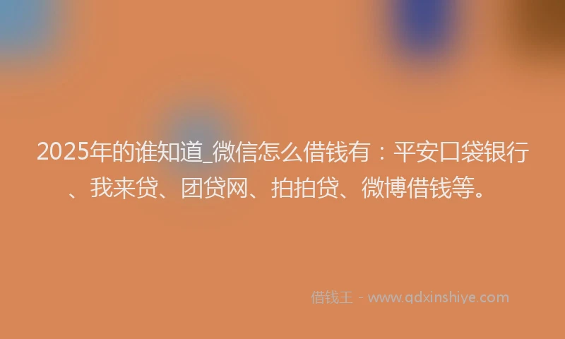 2025年的谁知道_微信怎么借钱有：平安口袋银行、我来贷、团贷网、拍拍贷、微博借钱等。