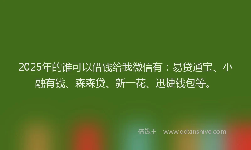 2025年的谁可以借钱给我微信有：易贷通宝、小融有钱、森森贷、新一花、迅捷钱包等。