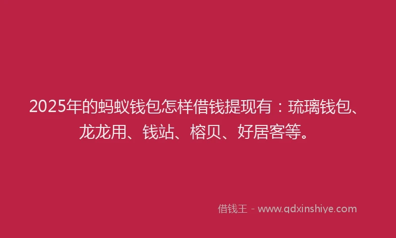 2025年的蚂蚁钱包怎样借钱提现有：琉璃钱包、龙龙用、钱站、榕贝、好居客等。