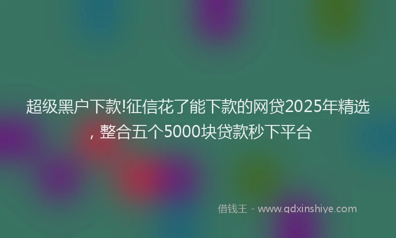 超级黑户下款!征信花了能下款的网贷2025年精选，整合五个5000块贷款秒下平台