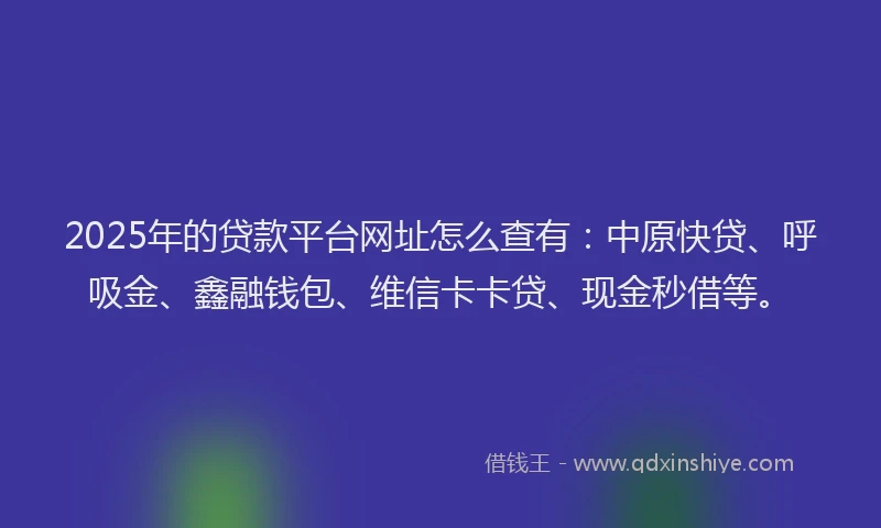 2025年的贷款平台网址怎么查有：中原快贷、呼吸金、鑫融钱包、维信卡卡贷、现金秒借等。