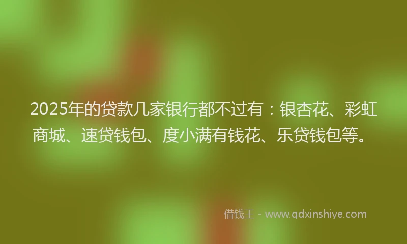 2025年的贷款几家银行都不过有：银杏花、彩虹商城、速贷钱包、度小满有钱花、乐贷钱包等。