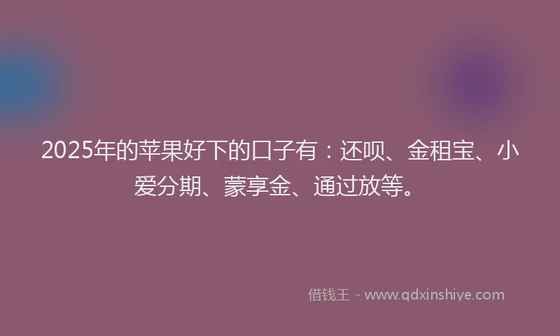2025年的苹果好下的口子有：还呗、金租宝、小爱分期、蒙享金、通过放等。