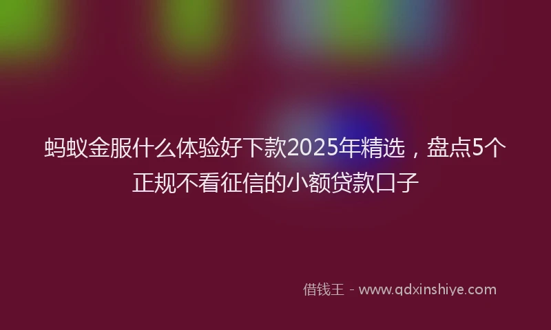蚂蚁金服什么体验好下款2025年精选，盘点5个正规不看征信的小额贷款口子