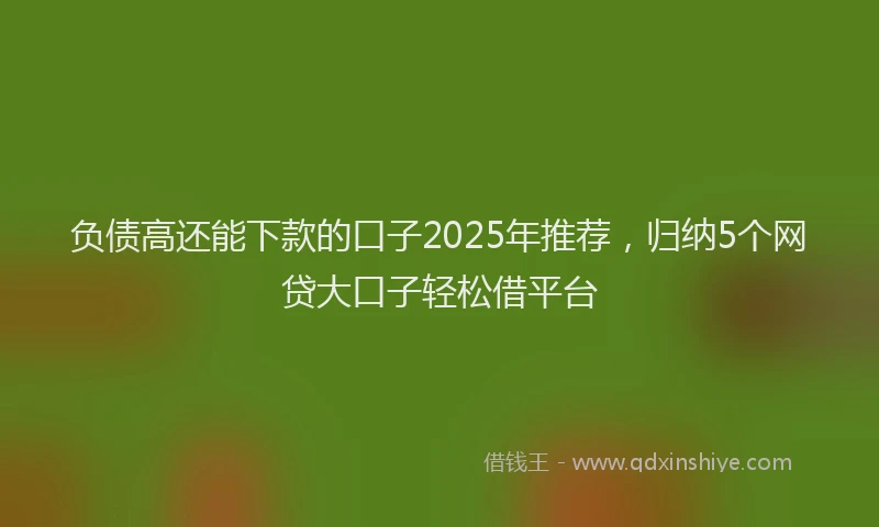 负债高还能下款的口子2025年推荐，归纳5个网贷大口子轻松借平台