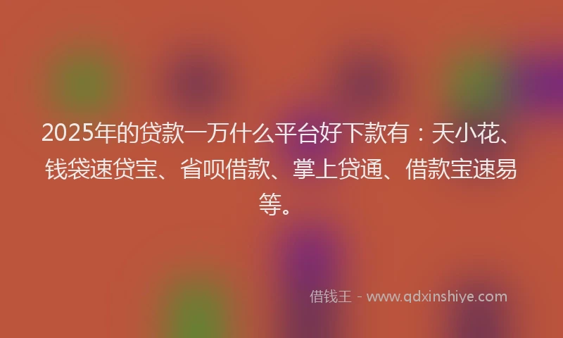 2025年的贷款一万什么平台好下款有：天小花、钱袋速贷宝、省呗借款、掌上贷通、借款宝速易等。