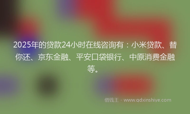 2025年的贷款24小时在线咨询有：小米贷款、替你还、京东金融、平安口袋银行、中原消费金融等。