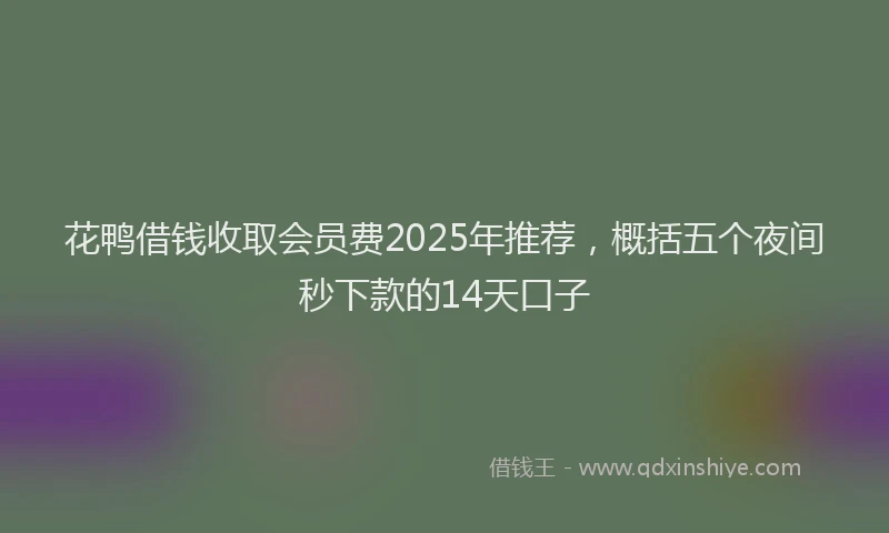 花鸭借钱收取会员费2025年推荐，概括五个夜间秒下款的14天口子