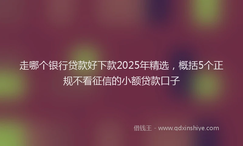 走哪个银行贷款好下款2025年精选，概括5个正规不看征信的小额贷款口子
