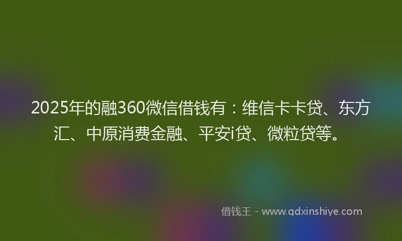 2025年的融360微信借钱有：维信卡卡贷、东方汇、中原消费金融、平安i贷、微粒贷等。