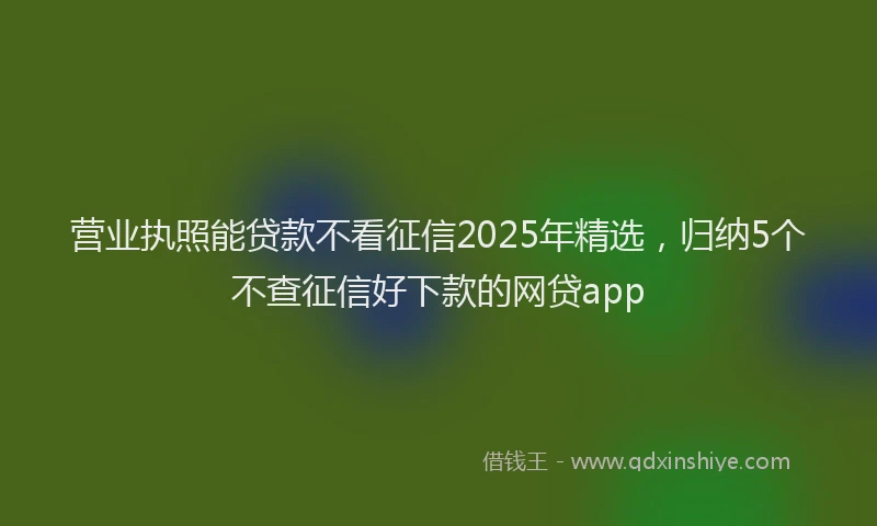 营业执照能贷款不看征信2025年精选，归纳5个不查征信好下款的网贷app