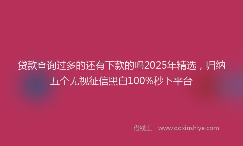 贷款查询过多的还有下款的吗2025年精选，归纳五个无视征信黑白100%秒下平台