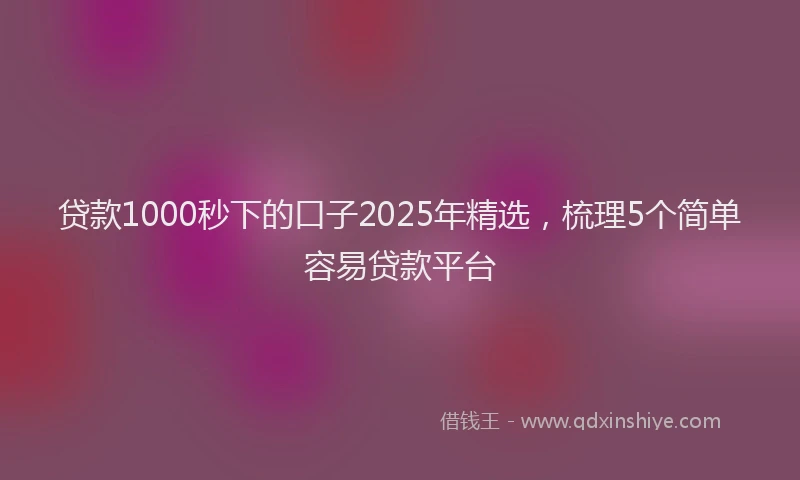 贷款1000秒下的口子2025年精选，梳理5个简单容易贷款平台