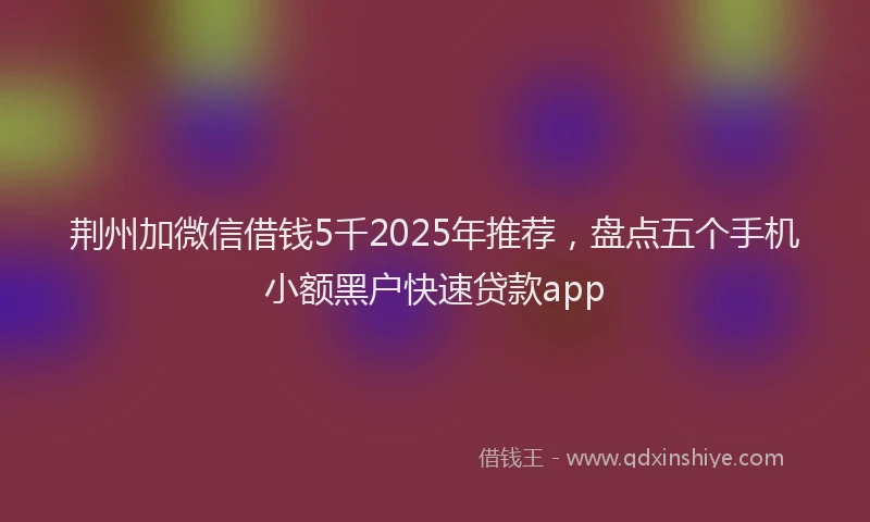 荆州加微信借钱5千2025年推荐，盘点五个手机小额黑户快速贷款app