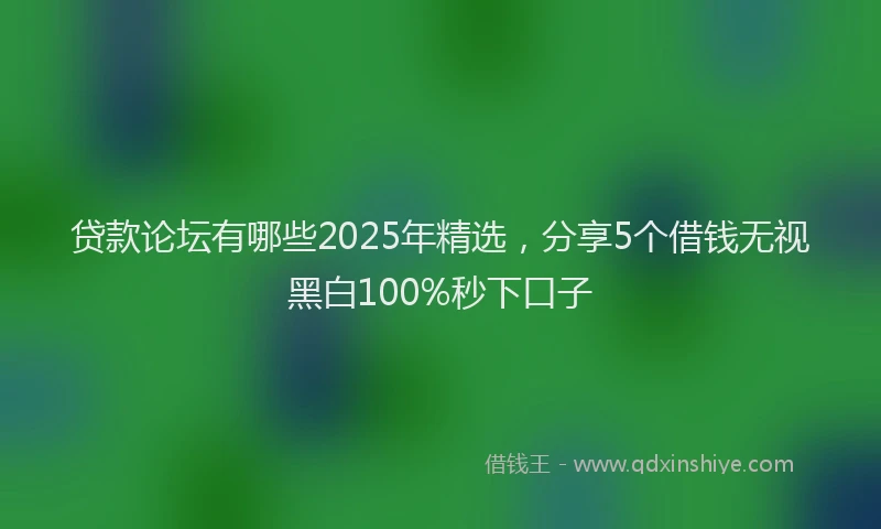 贷款论坛有哪些2025年精选，分享5个借钱无视黑白100%秒下口子