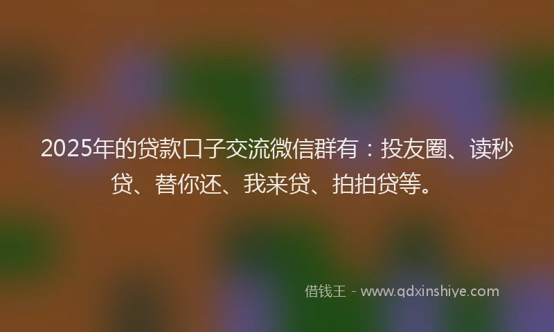 2025年的贷款口子交流微信群有：投友圈、读秒贷、替你还、我来贷、拍拍贷等。