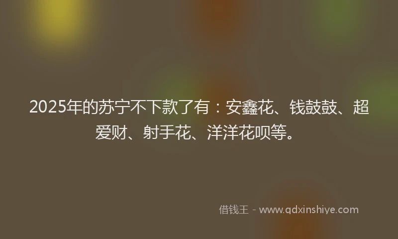 2025年的苏宁不下款了有：安鑫花、钱鼓鼓、超爱财、射手花、洋洋花呗等。