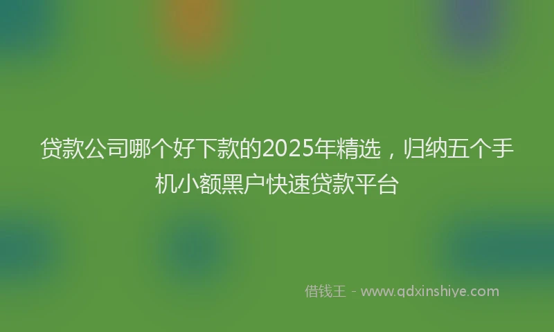 贷款公司哪个好下款的2025年精选，归纳五个手机小额黑户快速贷款平台