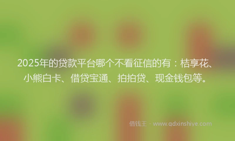 2025年的贷款平台哪个不看征信的有：桔享花、小熊白卡、借贷宝通、拍拍贷、现金钱包等。