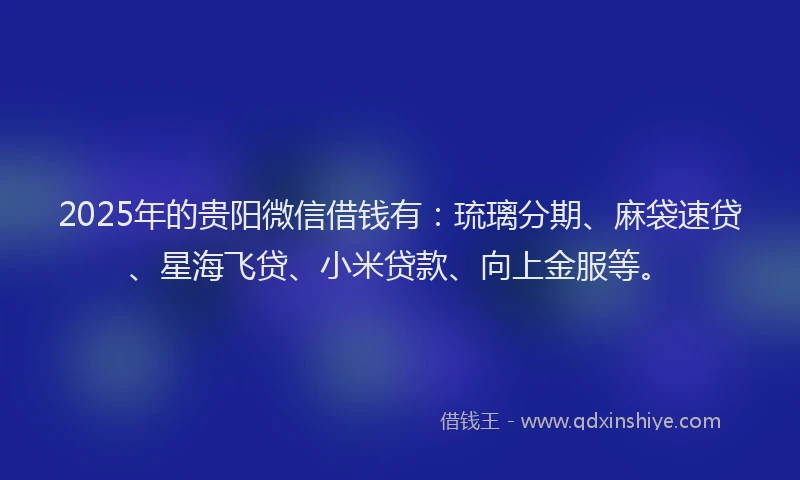 2025年的贵阳微信借钱有：琉璃分期、麻袋速贷、星海飞贷、小米贷款、向上金服等。