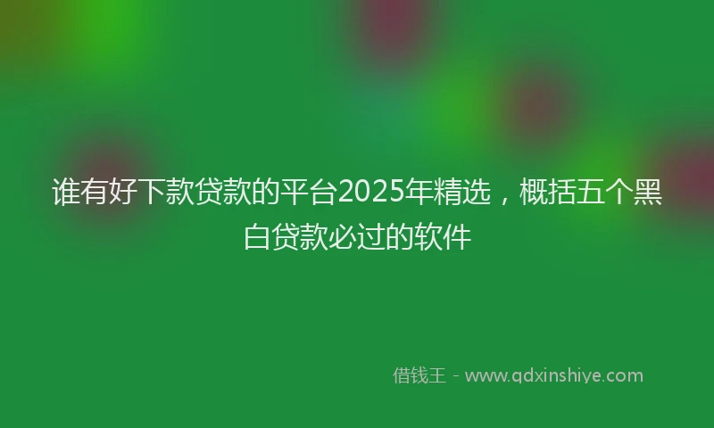 谁有好下款贷款的平台2025年精选，概括五个黑白贷款必过的软件