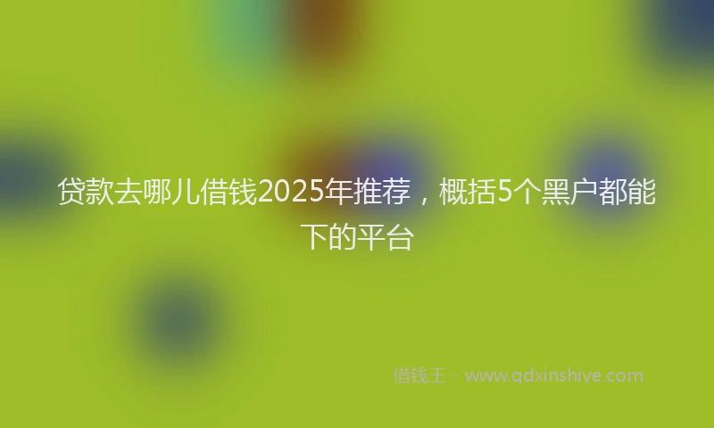 贷款去哪儿借钱2025年推荐，概括5个黑户都能下的平台
