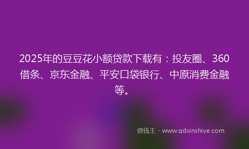 2025年的豆豆花小额贷款下载有：投友圈、360借条、京东金融、平安口袋银行、中原消费金融等。
