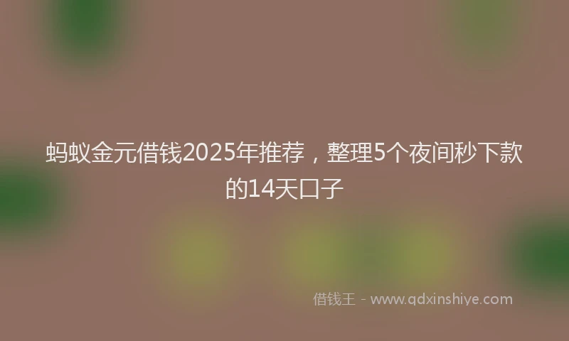 蚂蚁金元借钱2025年推荐，整理5个夜间秒下款的14天口子