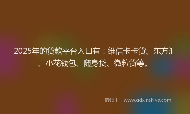 2025年的贷款平台入口有：维信卡卡贷、东方汇、小花钱包、随身贷、微粒贷等。